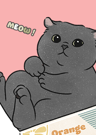 neko single21 / coral