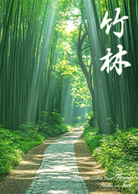 Bamboo forest Good fortune2