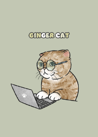 gingercat9 / mist green .jp