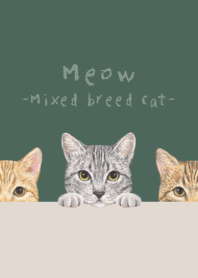 Meow-Mixed breed cat 03-DUSTY DARK GREEN