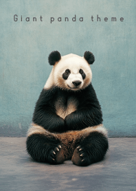 Giant panda - BLACK