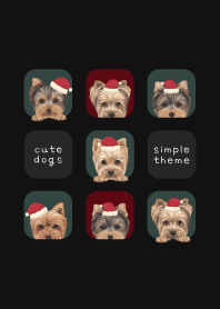 DOGS - ヨーキー - クリスマス