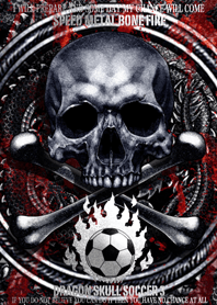 ドラゴン・スカルサッカー 3