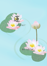 lotus by ichiyo