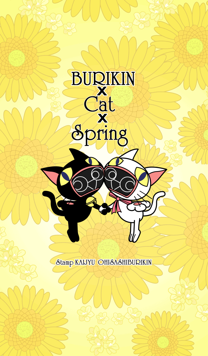 BURIKIN x cat x Spring