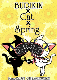 BURIKIN x cat x Spring