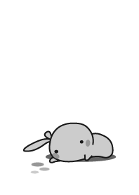 rabbit staring-10