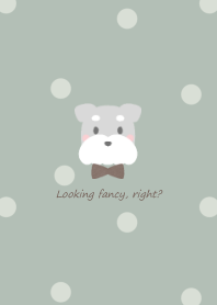 Schnauzer and ribbon -green- 2