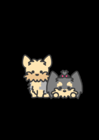 Yorkshire Terrier darkmode