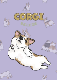 corgicorgi8 - violet