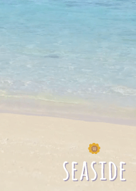 海濱 向日葵'紫色的'