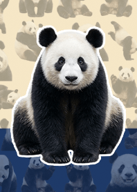 真実熊貓 米色深藍色