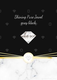 Shining Pure Jewel gray black