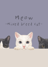 Meow - Mixed breed cat 02 - DUSTY PURPLE