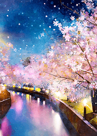 Beautiful night cherry blossoms#1418