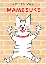 Browntabby cat Mamesuke