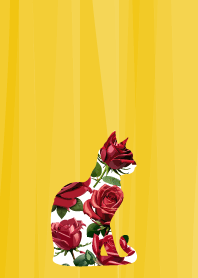 rose cat on yellow JP