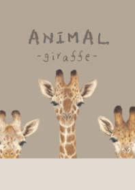ANIMAL - Giraffe - KHAKI