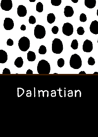Dalmatian pattern THEME 31