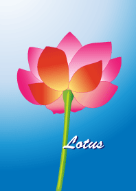 Lotus flower