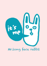 Mr. long face rabbit