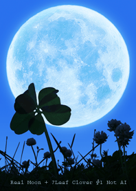 Real Moon+7Leaf Clover #1-21 Not AI