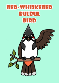 Red-whiskered bulbul bird
