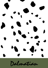 Dalmatian -Military-