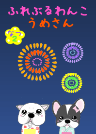 French bulldog wanko Ume summer 2