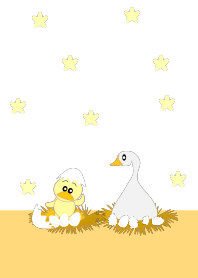 cutie duck2