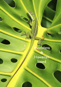 Monstera leaf and hawaiian lizard theme