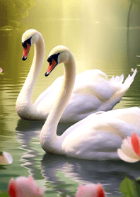 Beautiful and Graceful Swan #2
