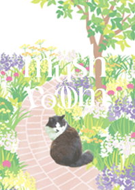 はらぺこ猫のお庭@ペットグランプリ