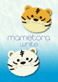 まめとら～mametora white～