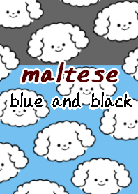 maltese dog theme16  blue and black