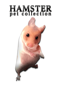 ハムスターペットコレクション