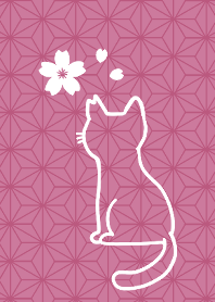 "Sakura cat" and cherry blossoms