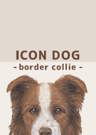 ICON DOG - Border Collie - BROWN/04