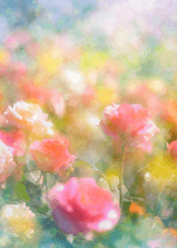 Beautiful rose flower(R3728)