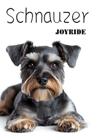 Schnauzer1