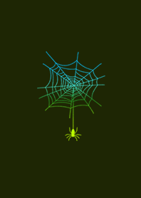 ファンシーな蜘蛛の巣