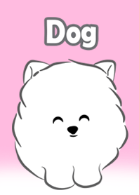 Brownie White Puppy JP02