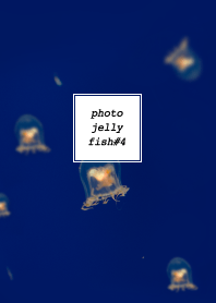 PHOTO-JELLYFISH#4