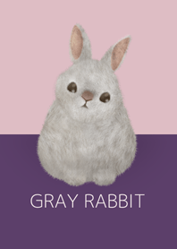 灰色ウサギ/パープル18.v2