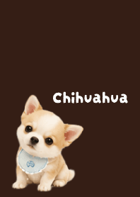 I love Chihuahuas03 brown
