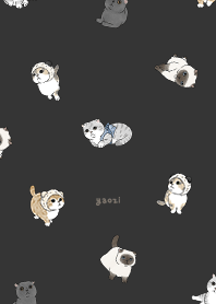 neko combo1 / carbon black