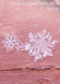 Snow Crystal Photo #3-2Not AI