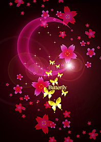 夜桜♡幸運を呼び込む八蝶*181