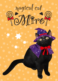 Magical Cat Miro for Halloween