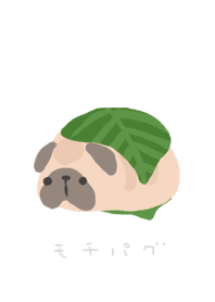 Mochi pug